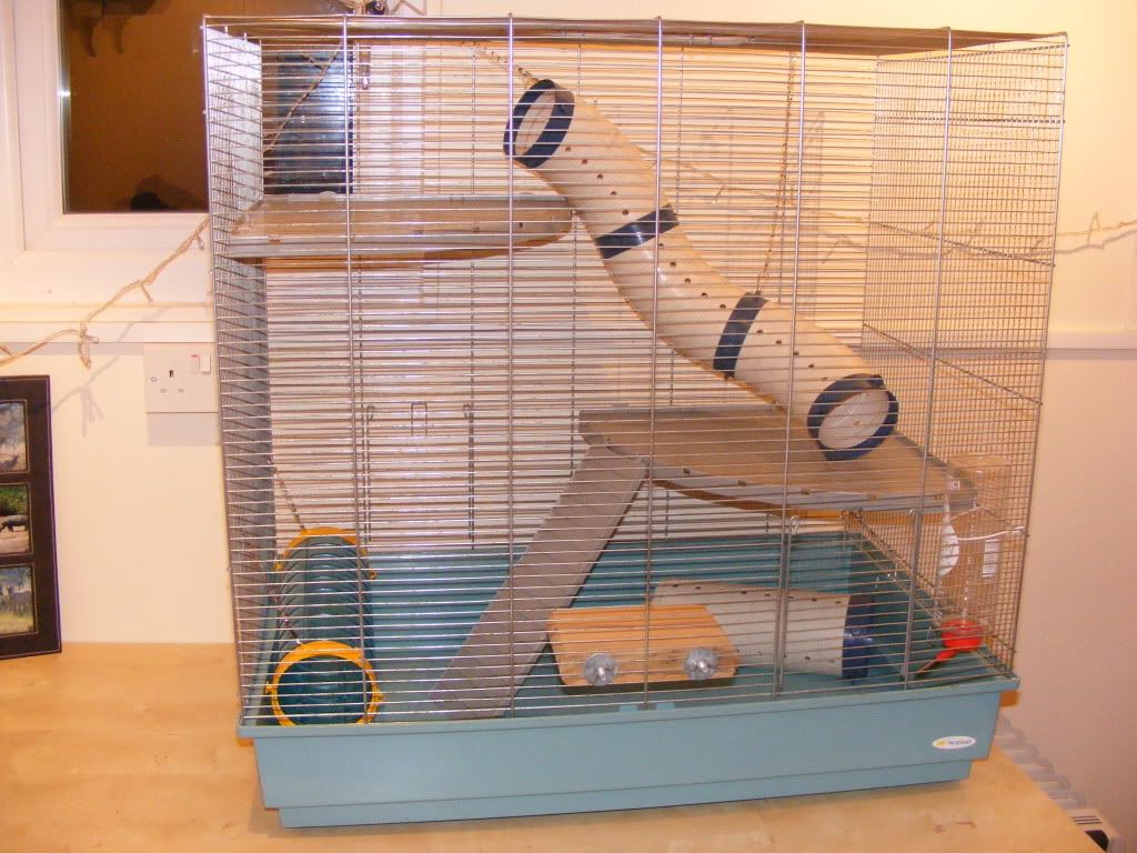 SE England Ferplast Jenny Rat Cage Excellent condition with extras